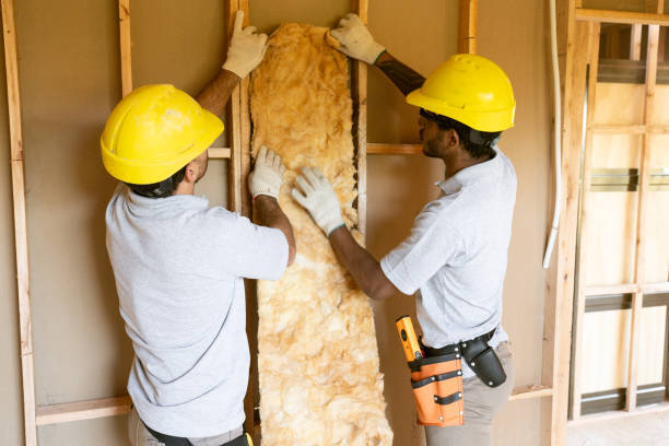 Best Wall Insulation Installation  in Selmer, TN